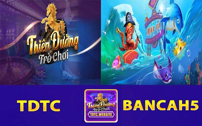 Tổng quan về TDTC và BancaH5